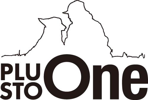Plus to One